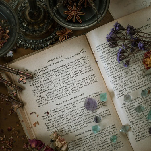 古書とドライフラワーを用いた記憶編集室のイメージ